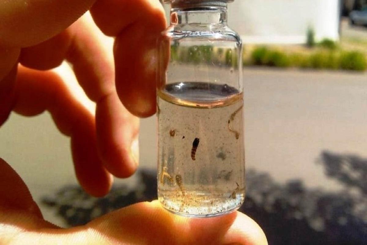 DENGUE; Prefeitura decreta situação de emergência em Araras