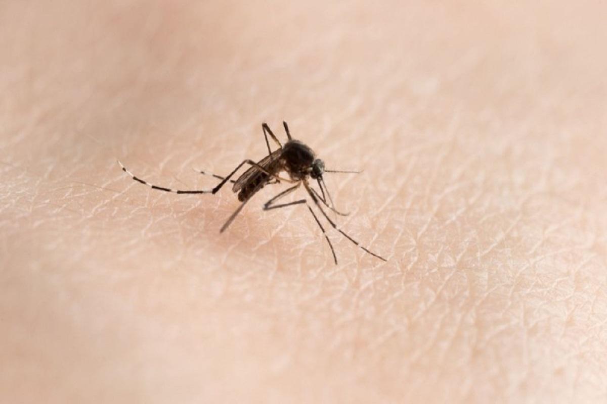 Araras ultrapassa os 2.300 casos de dengue no ano