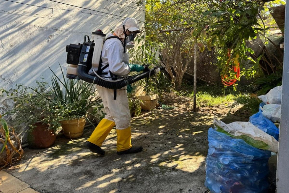 Casos de dengue continuam diminuindo em Araras