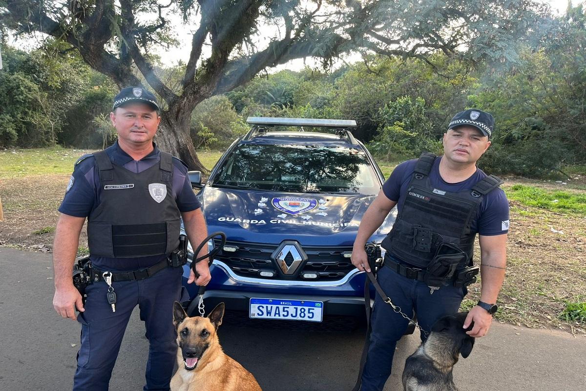 Cães da GCM de Araras fazem primeira apreensão de drogas durante treinamento no Centro de Lazer Alvorada