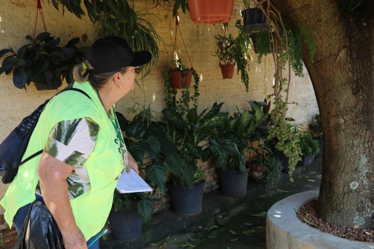 Dengue: mesmo com queda nos casos, cuidado deve continuar
