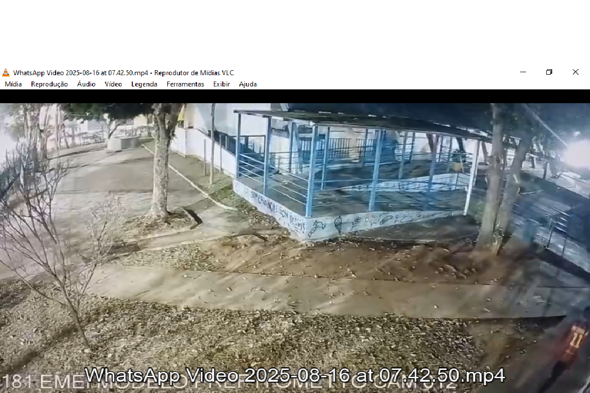 VÍDEO; INDIVÍDUO FURTA EMEI NO CENTRO DE ARARAS E ACABA DETIDO PELA GCM