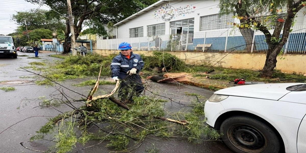 Defesa Civil trabalha na liberação do trânsito após queda de árvores
