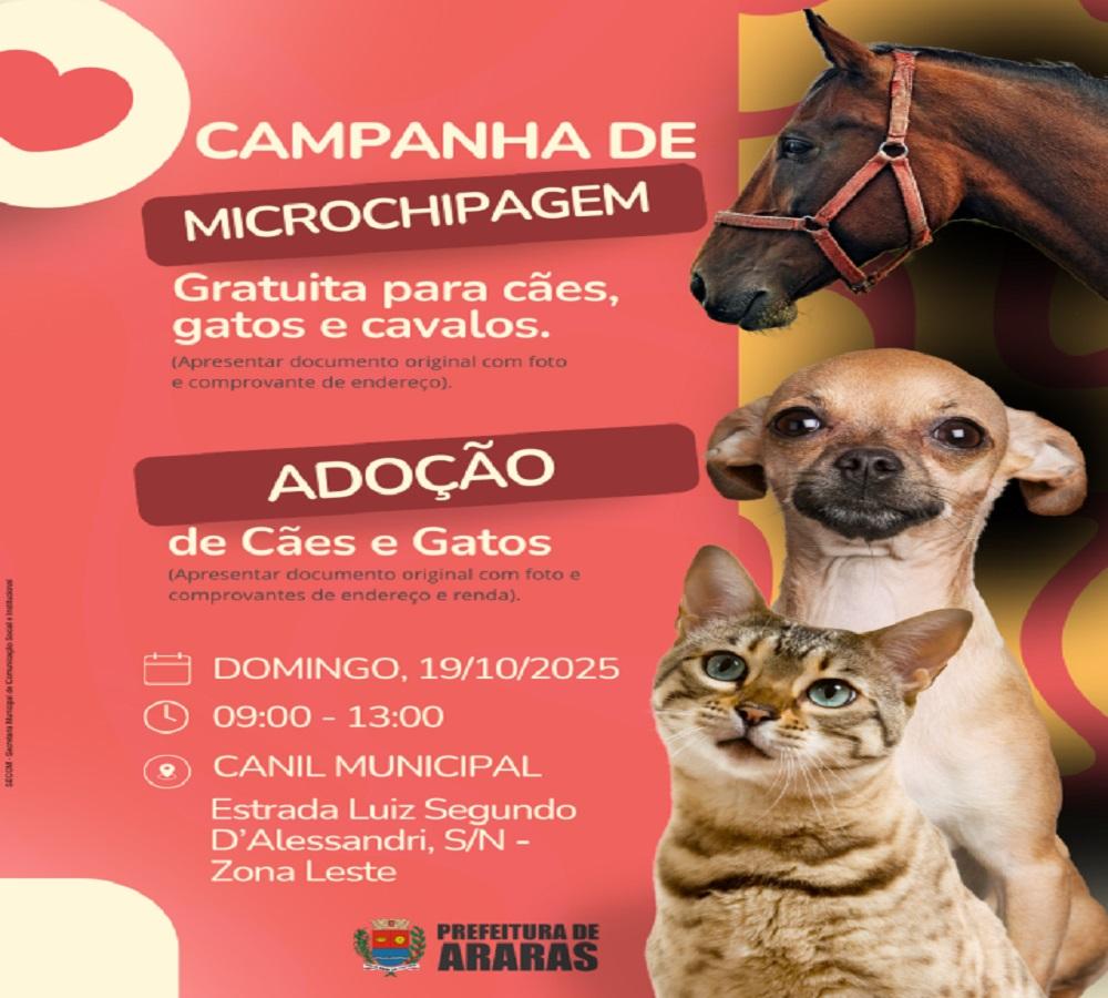 Domingo tem microchipagem e adoção responsável de animais
