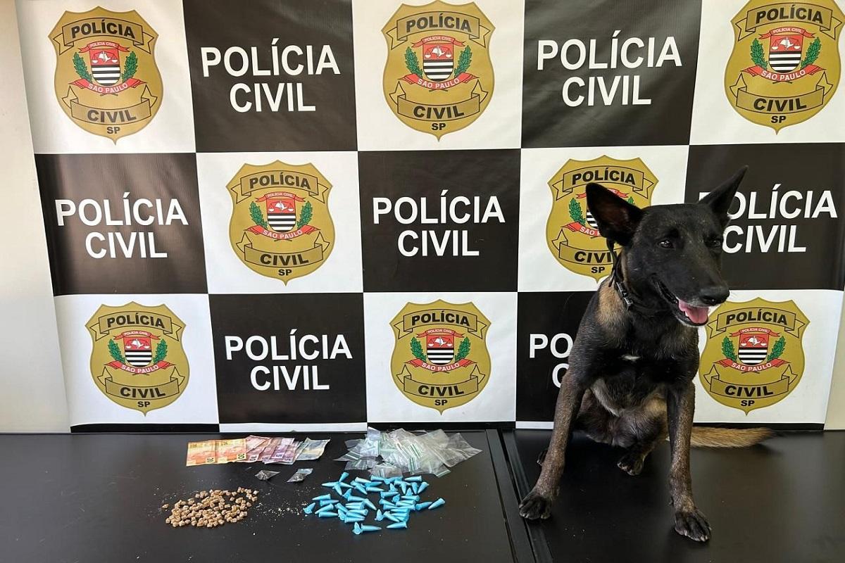 Guarda Civil Municipal de Araras, por meio do Canil e Policiamento Ostensivo, apoia Polícia Civil em operação contra o tráfico na zona sul da cidade