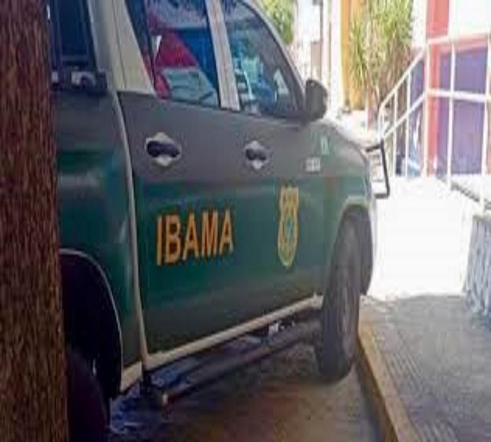 IRMÃOS SÃO PRESOS APÓS RESISTIREM A FISCALIZAÇÃO DO IBAMA E  AGREDIREM POLICIAL EM ARARAS SP