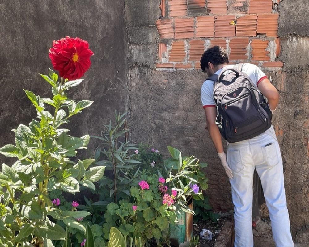 Mutirão da dengue visita 651 casas no José Ometto