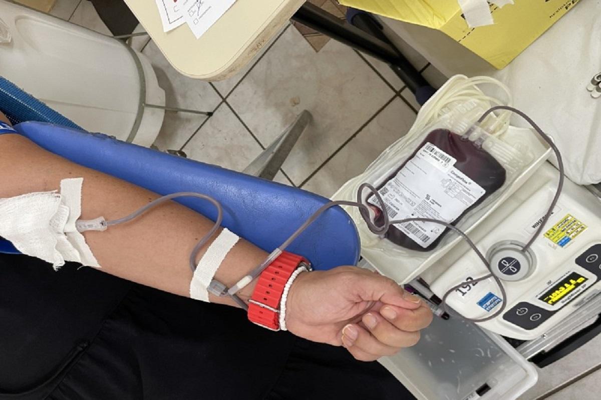 Última campanha de doação de sangue do ano coleta 126 bolsas