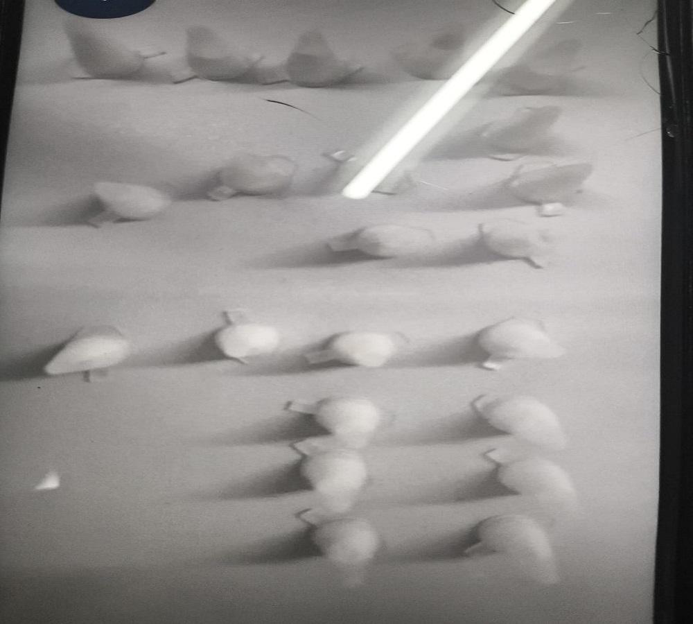 Homem é detido por tráfico de drogas no Parque Industrial, em Araras