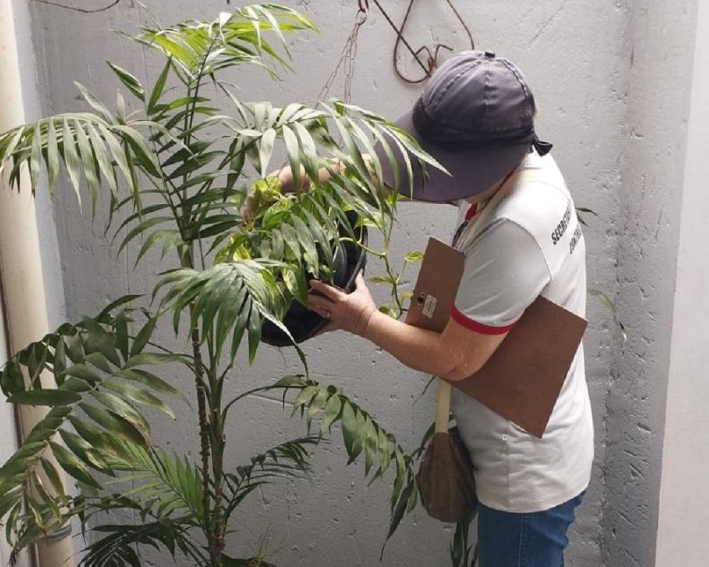 Mutirão da Dengue: mais de mil imóveis foram vistoriados no Parque Tiradentes