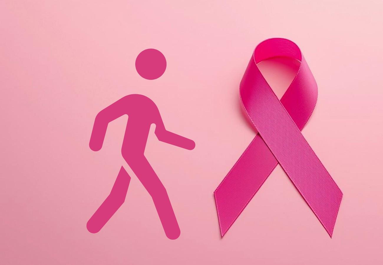 Caminhada de conscientização sobre o câncer de mama é aprovada em sessão