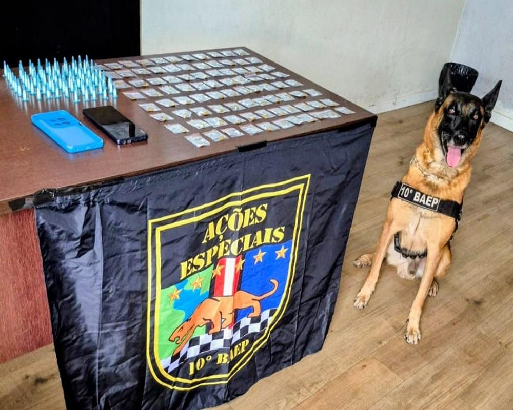 Cão policial localiza porções de cocaína e ICE prontas para venda em residência no Jardim Europa em Santa Bárbara SP