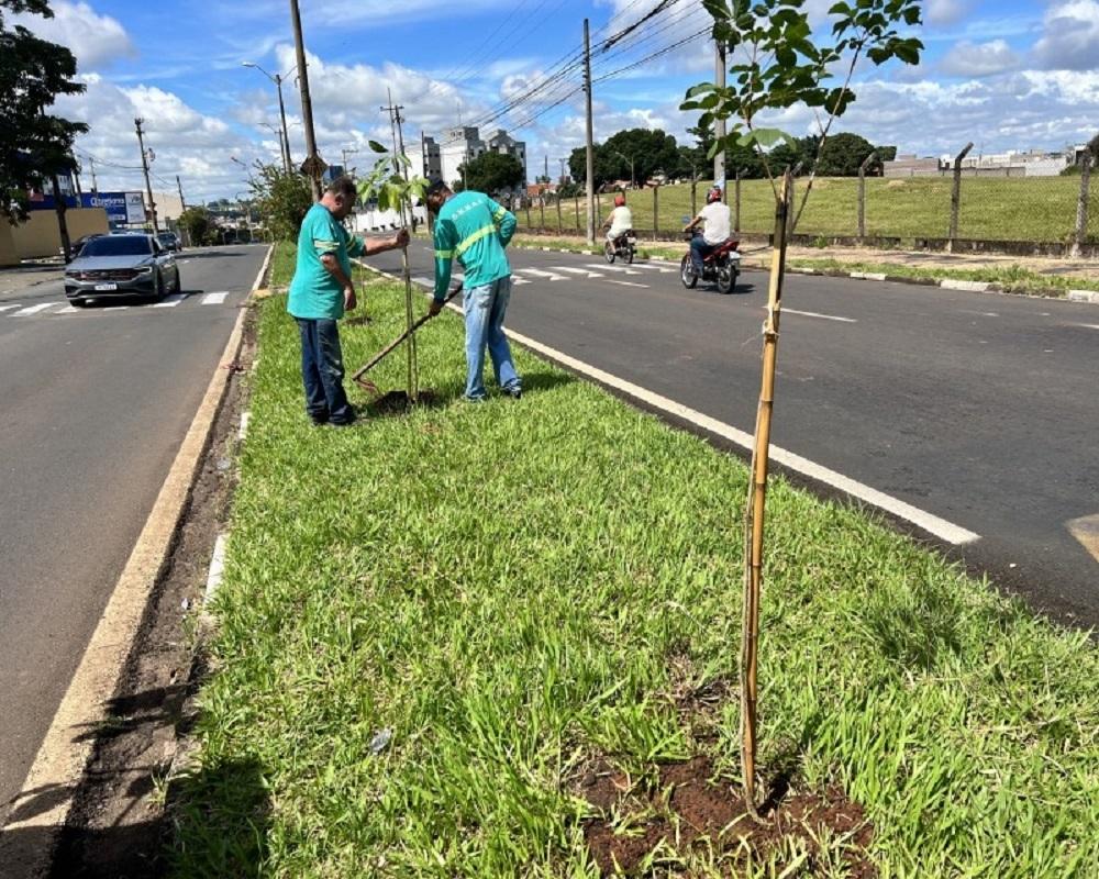 Munícipes precisam de autorização para realizar plantio em áreas públicas