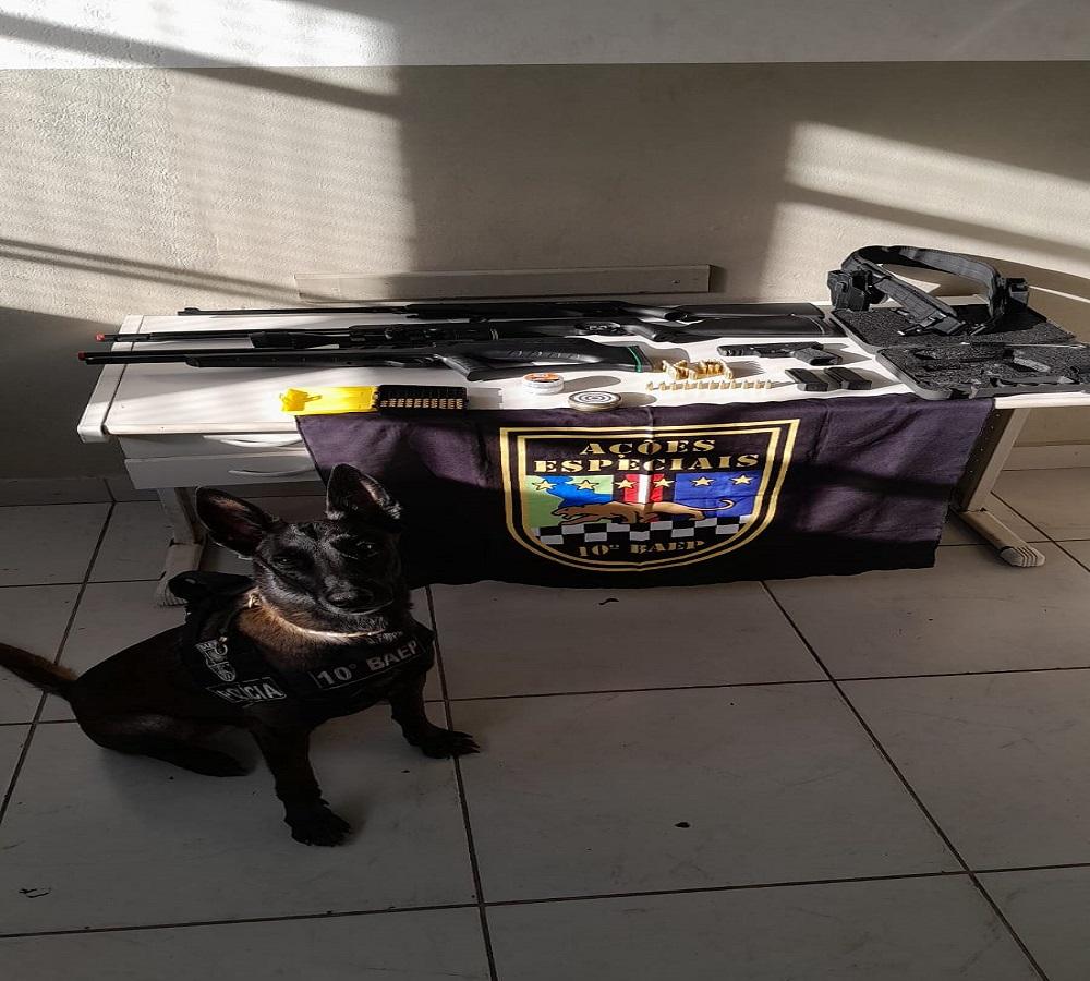 DISPAROS DE ARMA DE FOGO EM ÁREA RESIDENCIAL TERMINAM COM APREENSÃO DE PISTOLA E MUNIÇÕES EM PIRACICABA SP