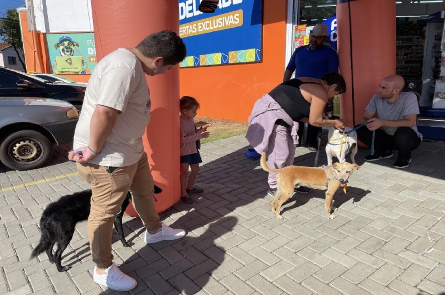 Cães participam de feira de adoção do Canil Municipal