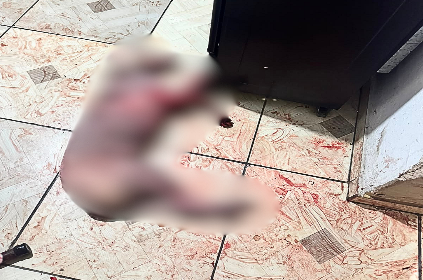 ATAQUE DE CÃES TERMINA COM MORTE DE ANIMAL E CASO VAI PARAR NA DELEGACIA EM LEME