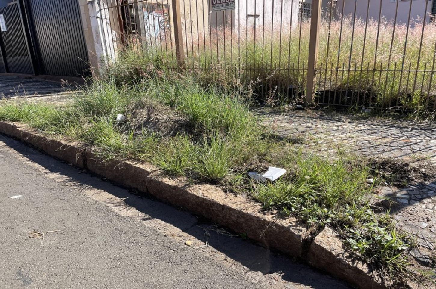 PREFEITURA APERTA O CERCO CONTRA MATO ALTO EM ARARAS E IMÓVEIS PODEM GERAR MULTAS DE ATÉ R$ 23 MIL