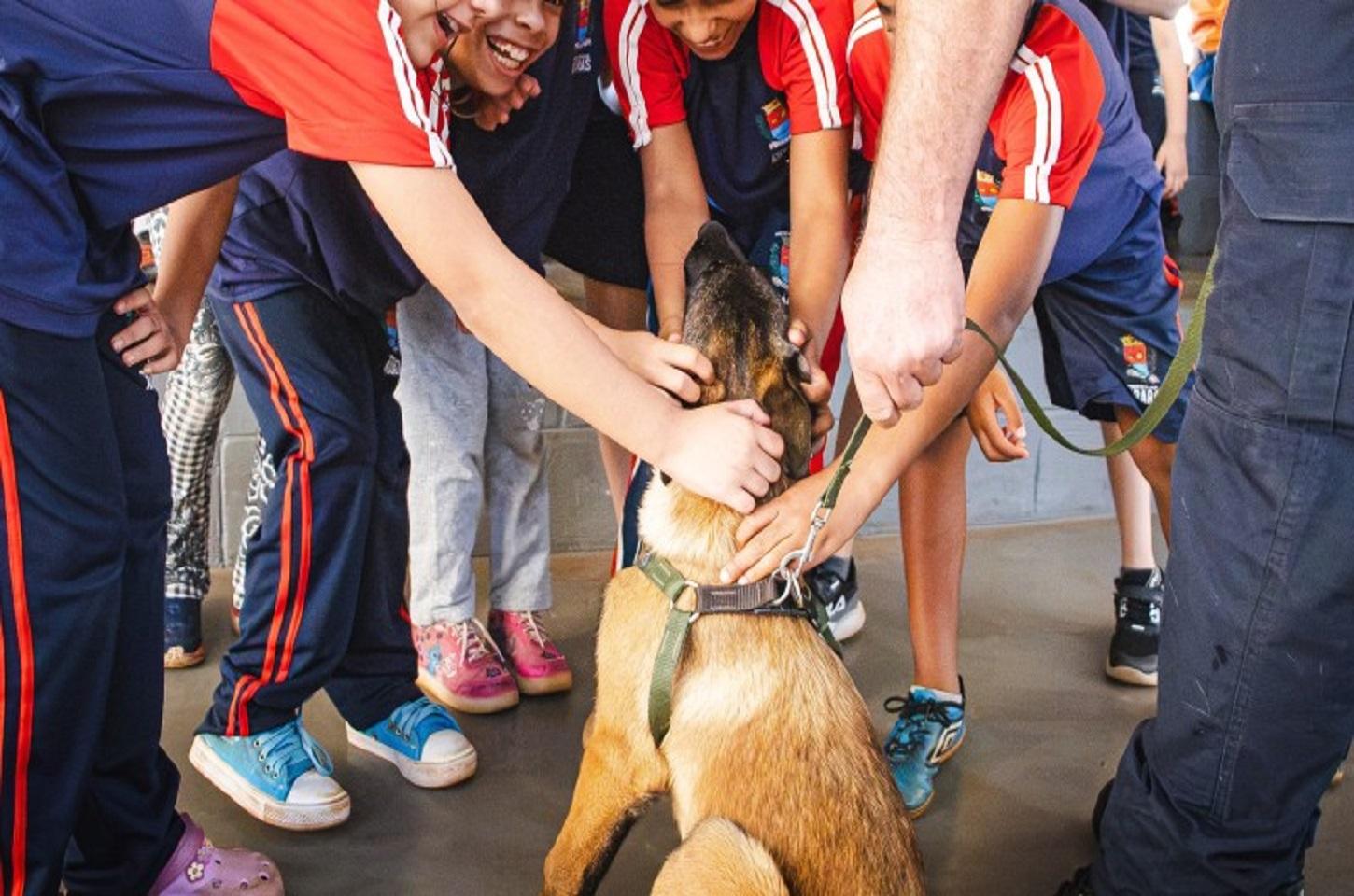 Anjos da Guarda apresentam cães do Canil da GCM aos alunos do CAIC