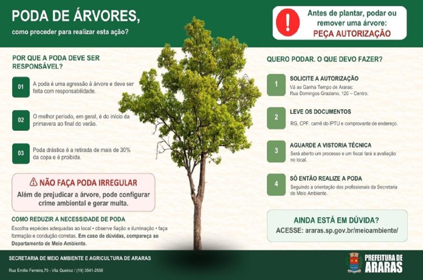 Prefeitura orienta sobre podas de árvores na cidade