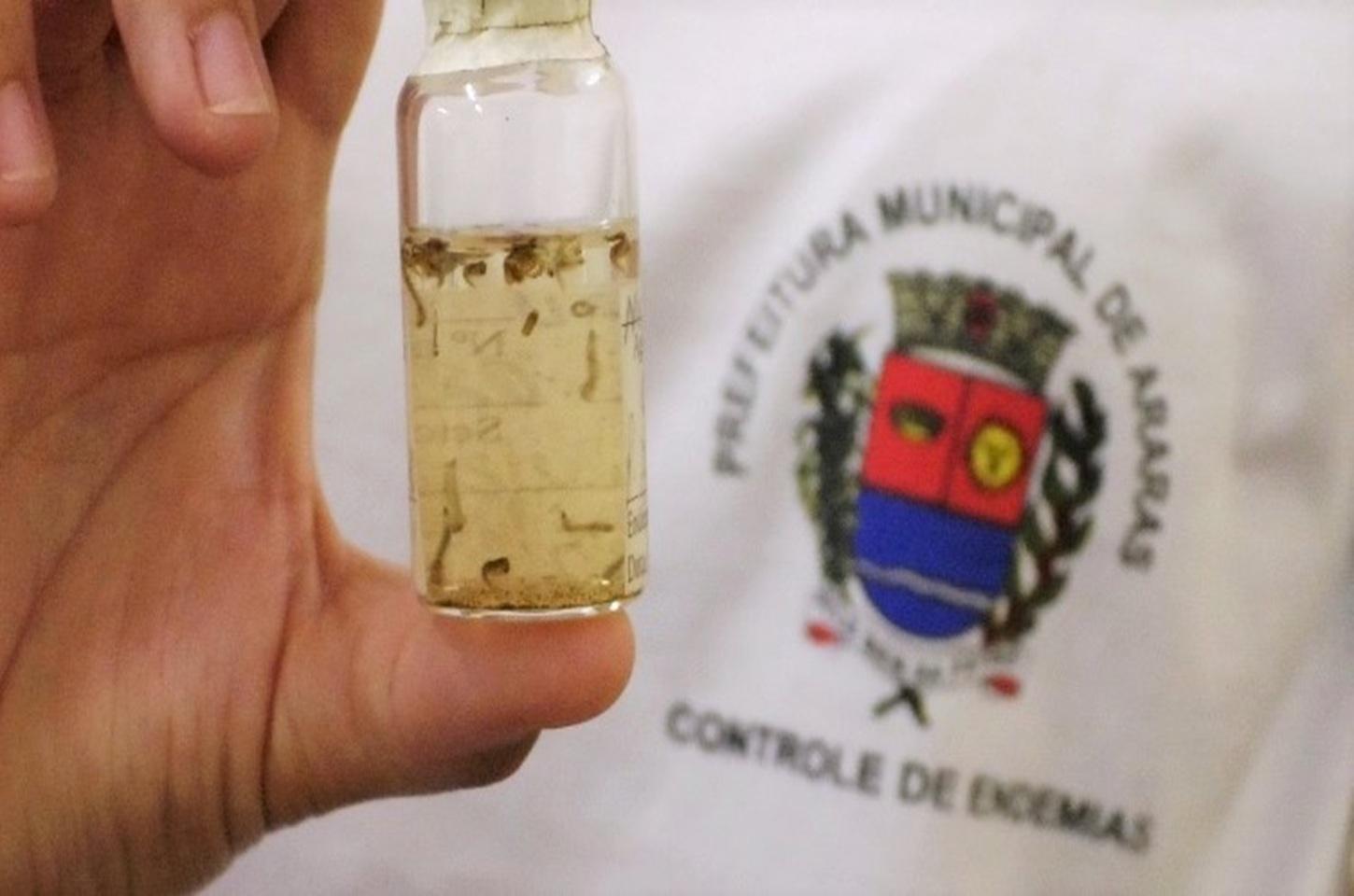 Araras mantém nível satisfatório para dengue em 2026