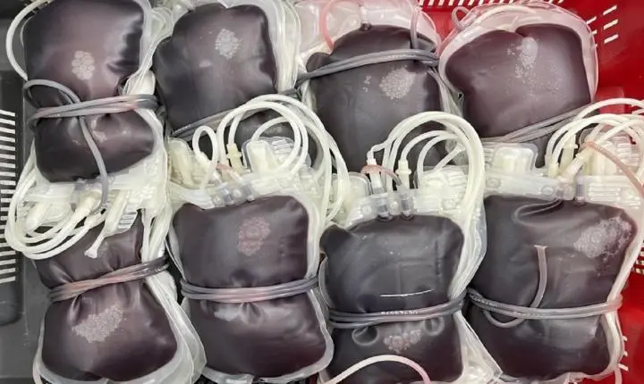 3ª Campanha de Doação de Sangue coleta 121 bolsas