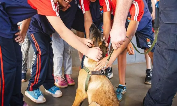 Anjos da Guarda apresentam cães do Canil da GCM aos alunos do CAIC
