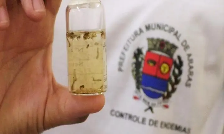 Araras mantém nível satisfatório para dengue em 2026
