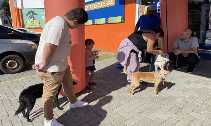 Cães participam de feira de adoção do Canil Municipal