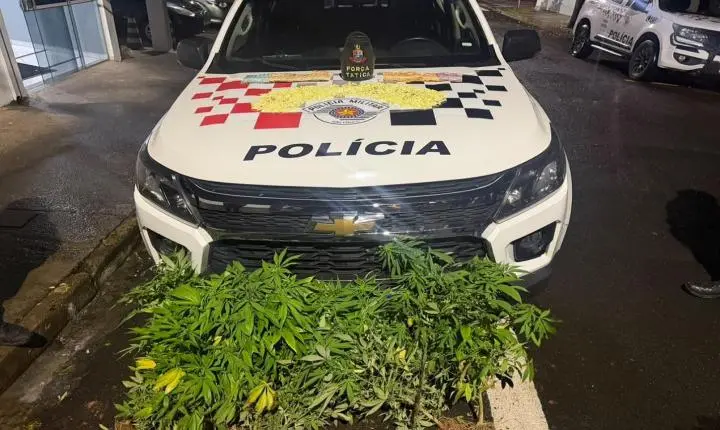 Homem é preso por tráfico de drogas em Limeira SP