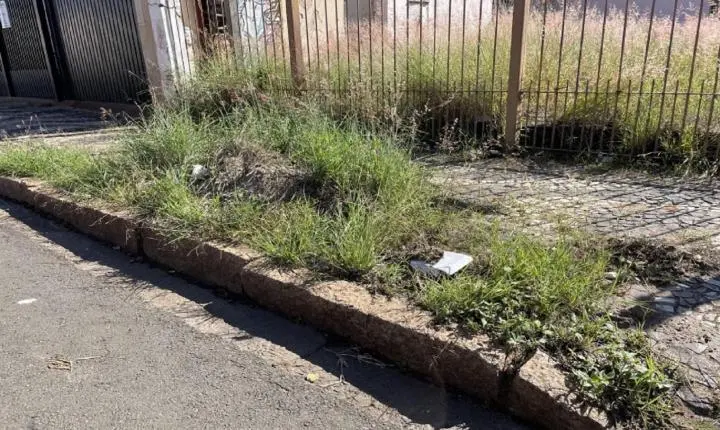 PREFEITURA APERTA O CERCO CONTRA MATO ALTO EM ARARAS E IMÓVEIS PODEM GERAR MULTAS DE ATÉ R$ 23 MIL