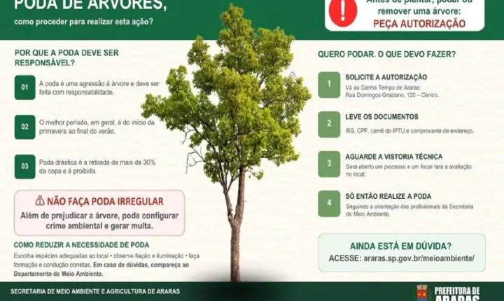 Prefeitura orienta sobre podas de árvores na cidade