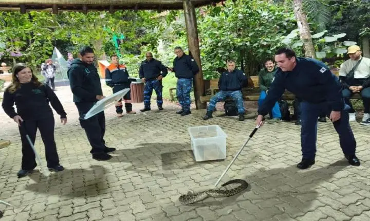 Servidores participam de curso de reconhecimento de animais peçonhentos